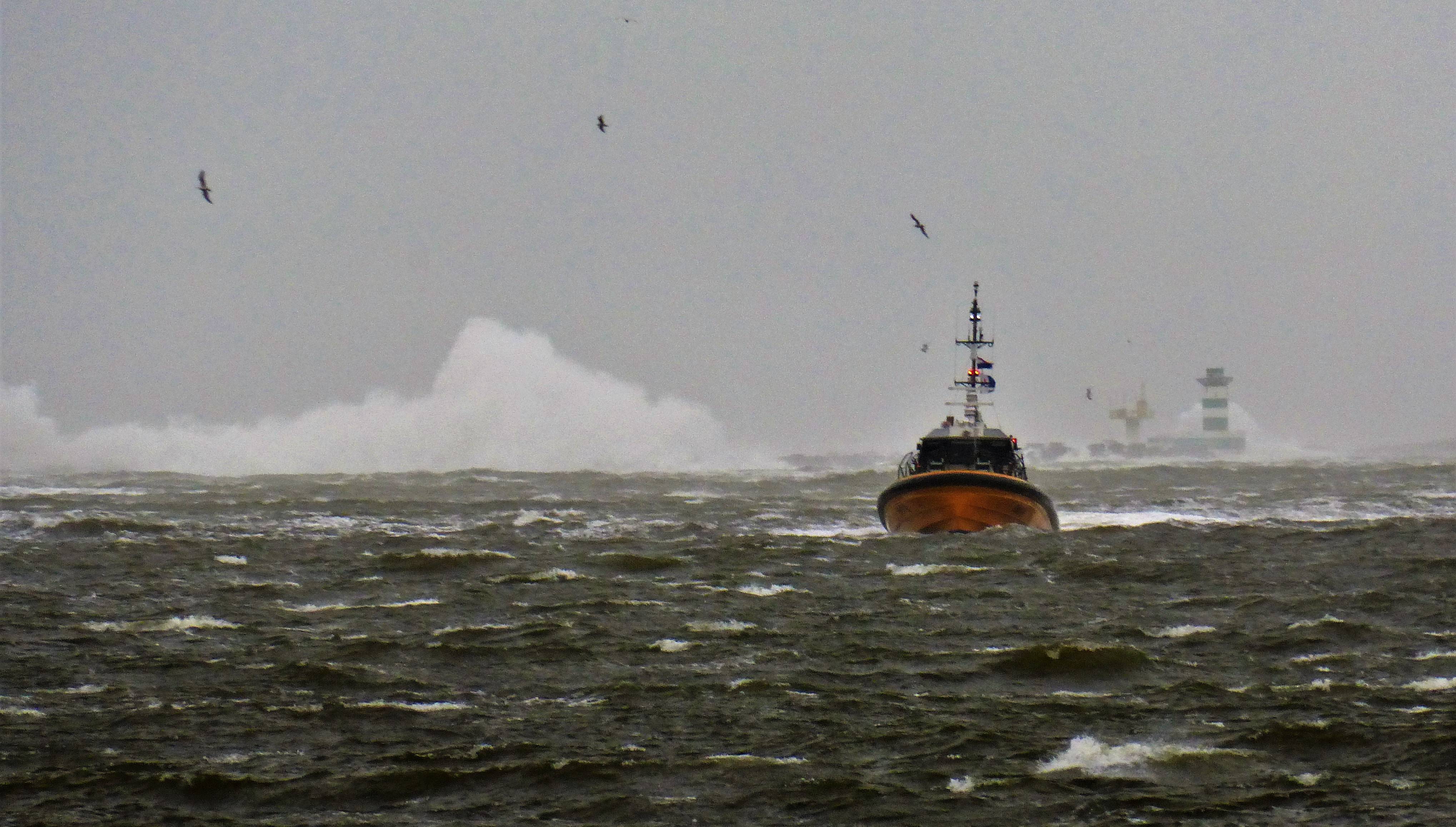 Pieren IJmuiden   21-02-22 